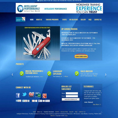 Intelligent Perfomance